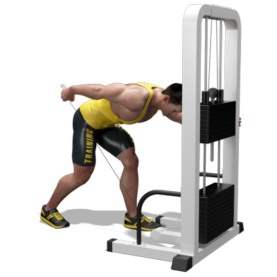 Esercizi Tricipiti kick back cavo basso App Allenamento Palestre