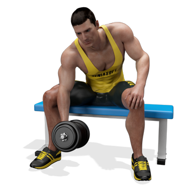 Esercizio bicipiti curl concentrato manubri App Allenamento