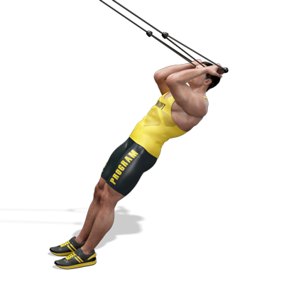 Esercizio Bicipiti curl sospensione trx App Allenamento Palestre