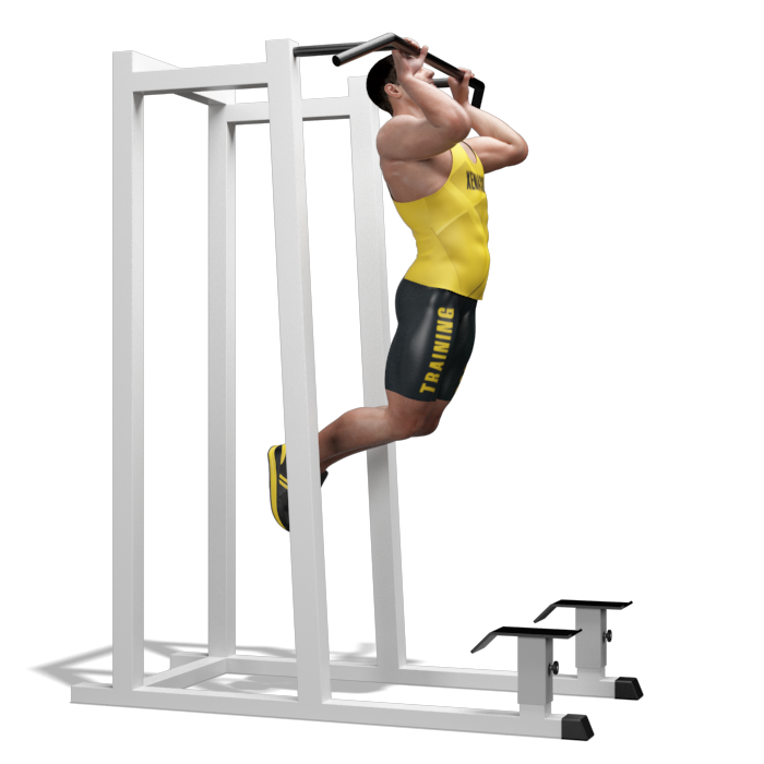 Esercizio Dorsali slanci alla barra butterfly pull up