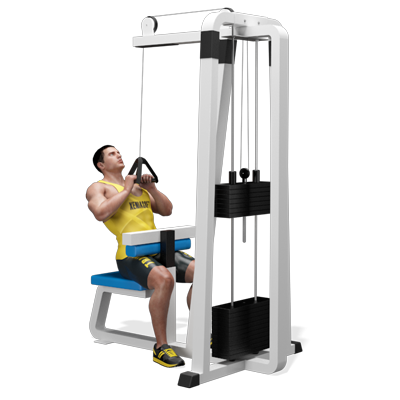 Esercizio Dorsali lat machine App Allenamento