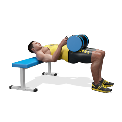 Esercizi Glutei hip thrust power bag App Allenamento Palestre