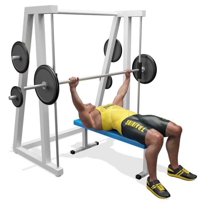 Esercizio Pettorali spinte bench press multipower App Allenamento Palestre