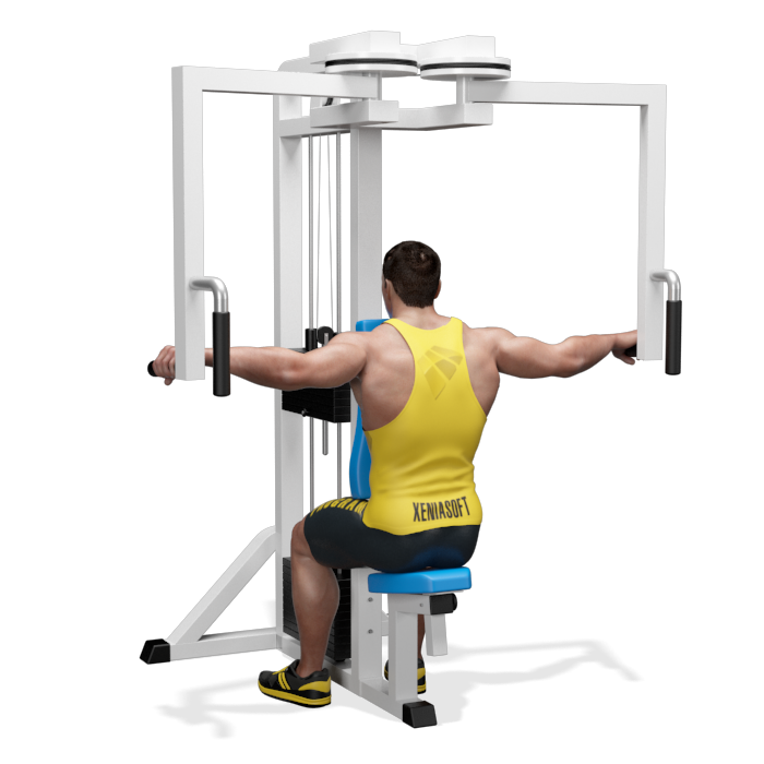 Esercizio trapezio deltoide spalla rear deltoid App Allenamento Palestre